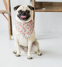 Load image into Gallery viewer, The Rover Boutique Bandanas
