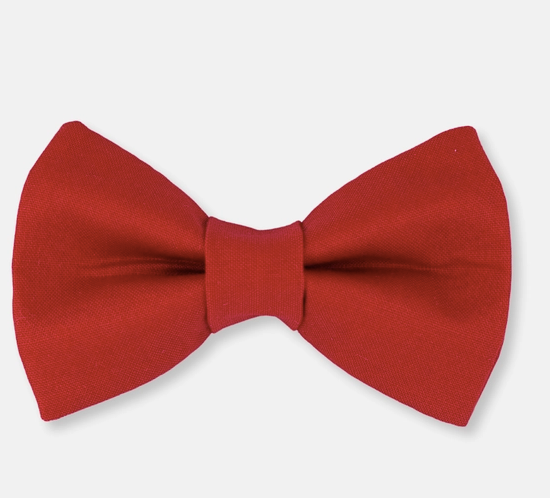 The Rover Boutique Dog Bow Tie